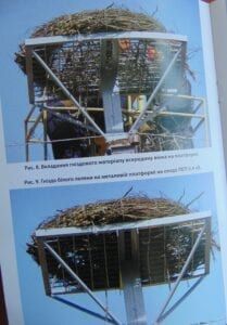 Ось так електрики встановлюють безпечні конструкції гнізд