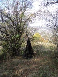 Імовірне місце розташування легендарної фігури барана