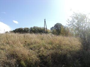 Західне городище