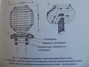 Приклад безпечної конструкції гнізда на дереві