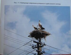 Приклад безпечної "квартири" пернатих